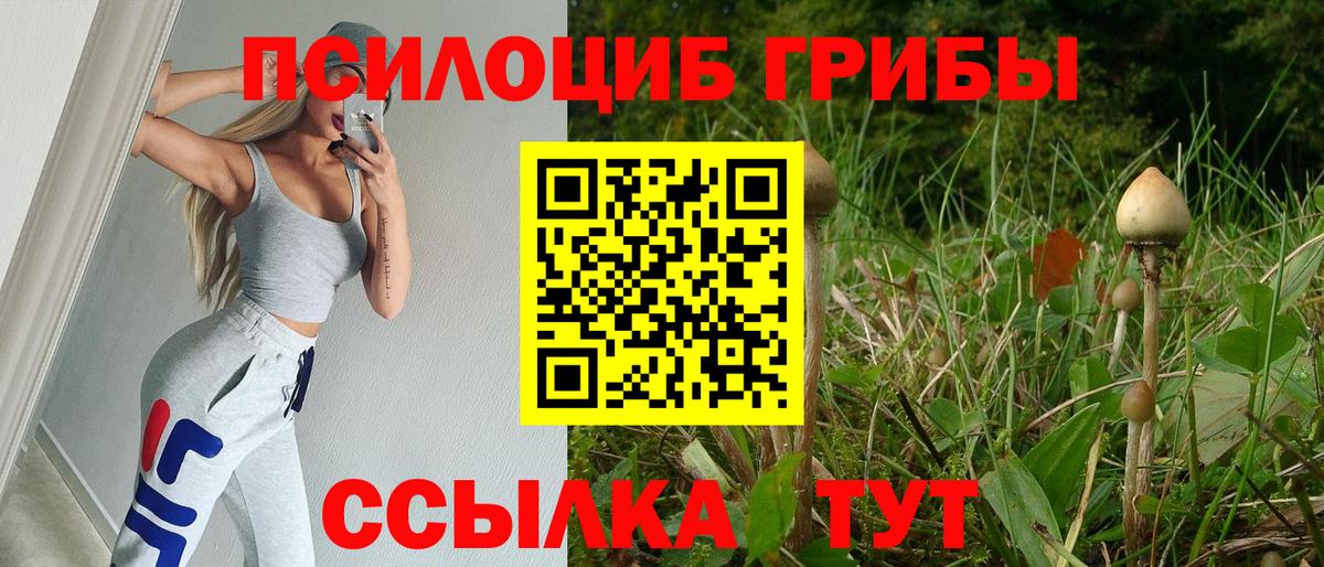 как найти   Галлюциногенные грибы Magic Shrooms  Галлюциногенные грибы мухоморы  Вход с VPN  Мичуринск 